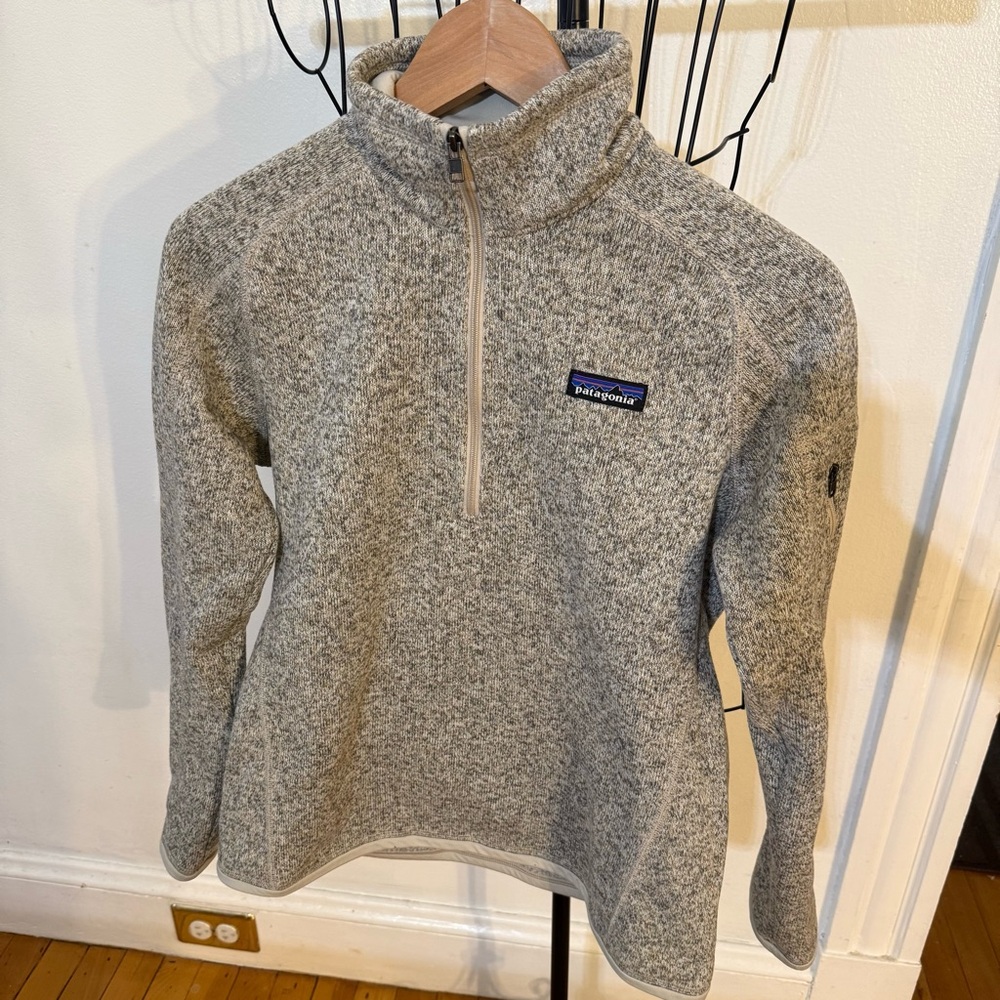Patagonia Light Gray Fleece Pullover